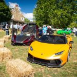 Radnor Hunt Concours d Elegance