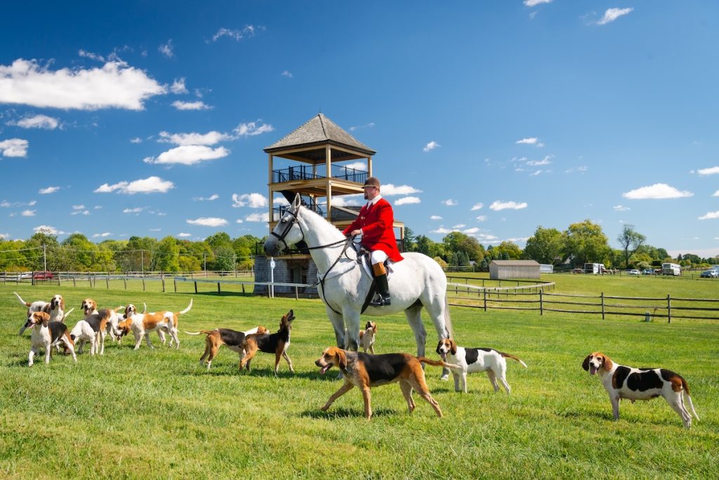 Radnor Hunt Concours d Elegance