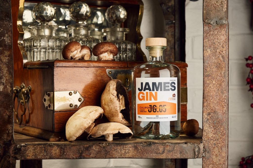 James Gin