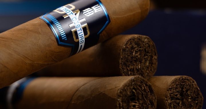 Do Not Disturb: A Quiet Escape by Alec Bradley